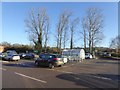 Trees beside Morrisons car park, Wells