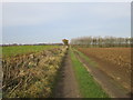 TA2039 : Farm track on Lambwath Hill by Jonathan Thacker