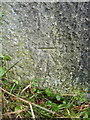 OS benchmark - Crudgington, gatepost east side of A442