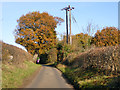 Lane towards Hadleigh