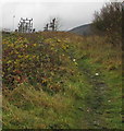 Muddy track towards a large electricity substation,  Pen-yr-englyn