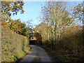 Lane towards Polstead Heath