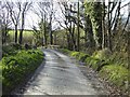 Country road crossing a bridge