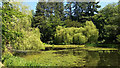 SH7971 : Lake at Bodnant Garden by Stephen Craven