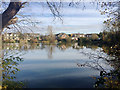 Wyvern Avenue and Meynell Road seen across Barker