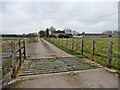 Road to Three Oaks Farm