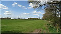 Field path near Lawn Drumble , NW of Cheswardine