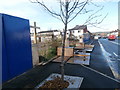 Strong wind meets flimsy fence, Caerphilly Rd, Cardiff