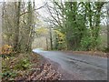 Road passing through Ninewells Wood