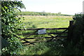 Field at Simpson Moor