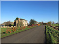 A new beech hedge on Downham Hythe Drove