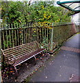 Metal bench above the Rhondda River, Ynyswen