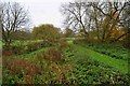 Cuttle Brook, Thame, Oxon