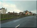 Paddock on Sporton Lane