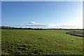 Farmland east of Bilton in Ainsty