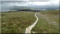 R6575 : Boardwalk leading to SE summit of Moylussa - view E by Colin Park