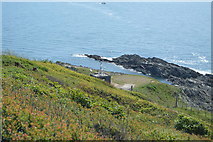 SX4448 : Penlee Point by N Chadwick