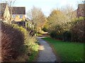 Cycle path through Hilton