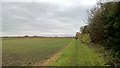 Path near Cherry Orchard Farm