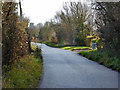 School Lane, Great Wigborough