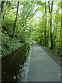 Llangollen Canal Narrows