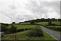 Road from  Llanddewi