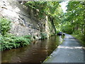 Rock face on the canal bank