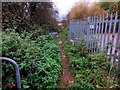 Footpath to South Hinksey