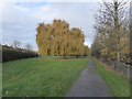 Autumn colour in Brent River Park