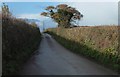 SX8879 : Lane to Biddlecombe Cross by Derek Harper
