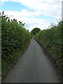 Down the hill towards Fron Uchaf