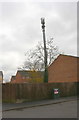 A tree with roosting birds by coms mast, North Street