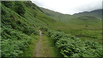 NG8300 : Path climbing towards Mam Barrisdale in Gleann an Dubh-Lochain, Knoydart by Colin Park
