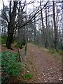 The path on Laggan Hill