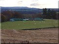 Crieff allotments