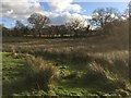 ST0276 : Grassland at Ty'r-Mynydd by Alan Hughes