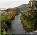 Downstream along the Rhondda River, Treherbert