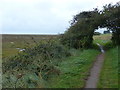 TF9543 : East along the Peddars Way & Norfolk Coast Path by Mat Fascione