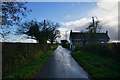 Mid Devon : Country Lane