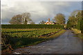 Track leading north at Hazlewood Hall Farm