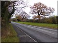 Hanley Road near the Three Counties Showground