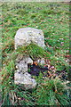 Remains on trig pillar on Sunrise Hill