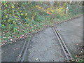 Disused railway crosses the footpath beside the A473, and disappears into the undergrowth
