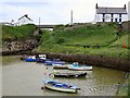 NZ3376 : Harbour, Seaton Sluice by Andrew Curtis