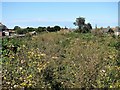 Abandoned railway track on outskirts of Margate