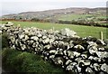 Wal gerrig sych ar Ben Cefn / Drystone wall on Pen Cefn