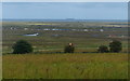TG0143 : View across the Morston Salt Marshes and Agar Creek by Mat Fascione