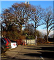 Telecoms mast behind Sunnydale Garden Centre, Croesyceiliog, Cwmbran