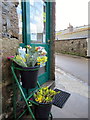 Spring Starts Early in St Ives