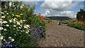 Flowers in garden on path N out of Sparrowpit